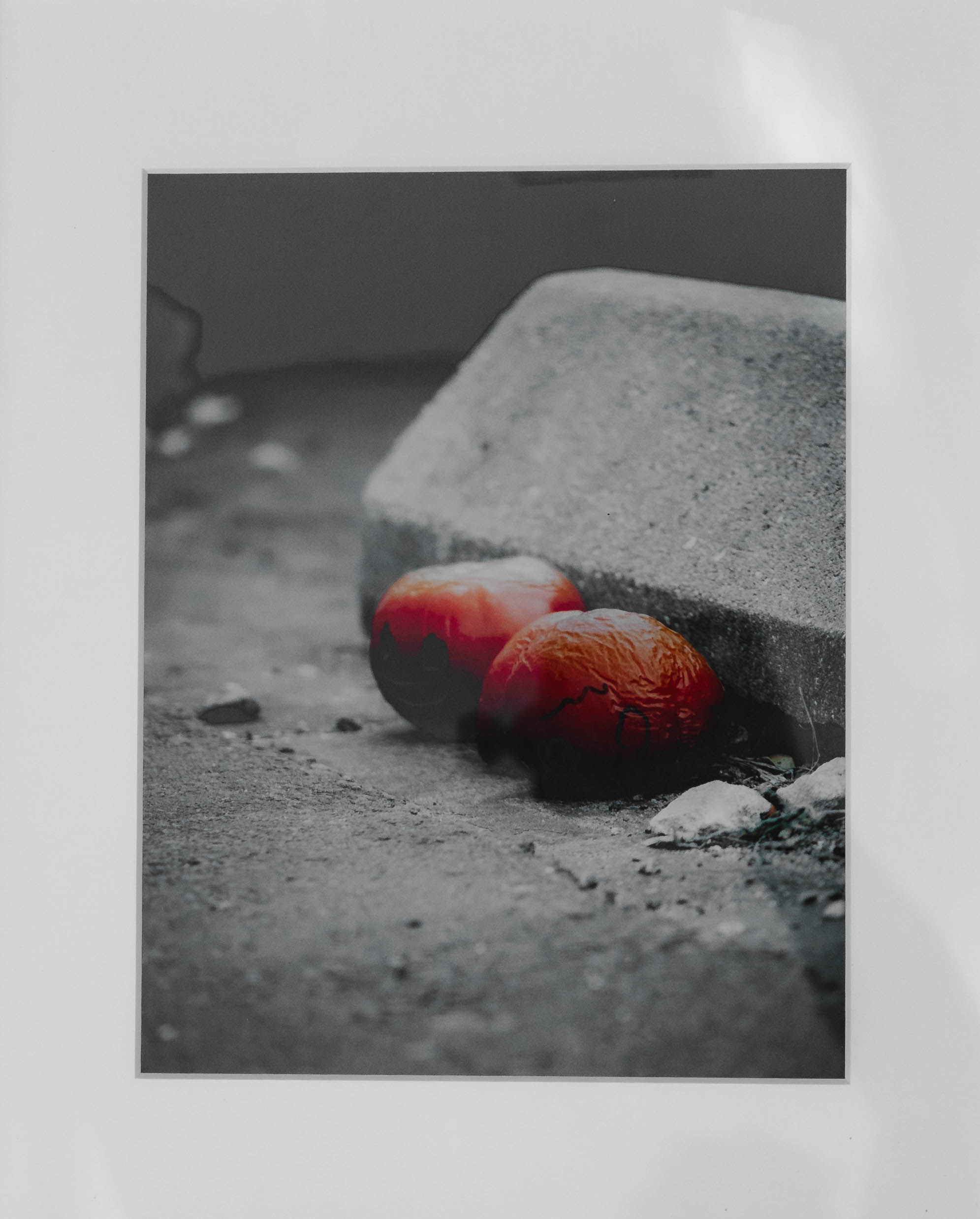 Photography by Kevin Rollins