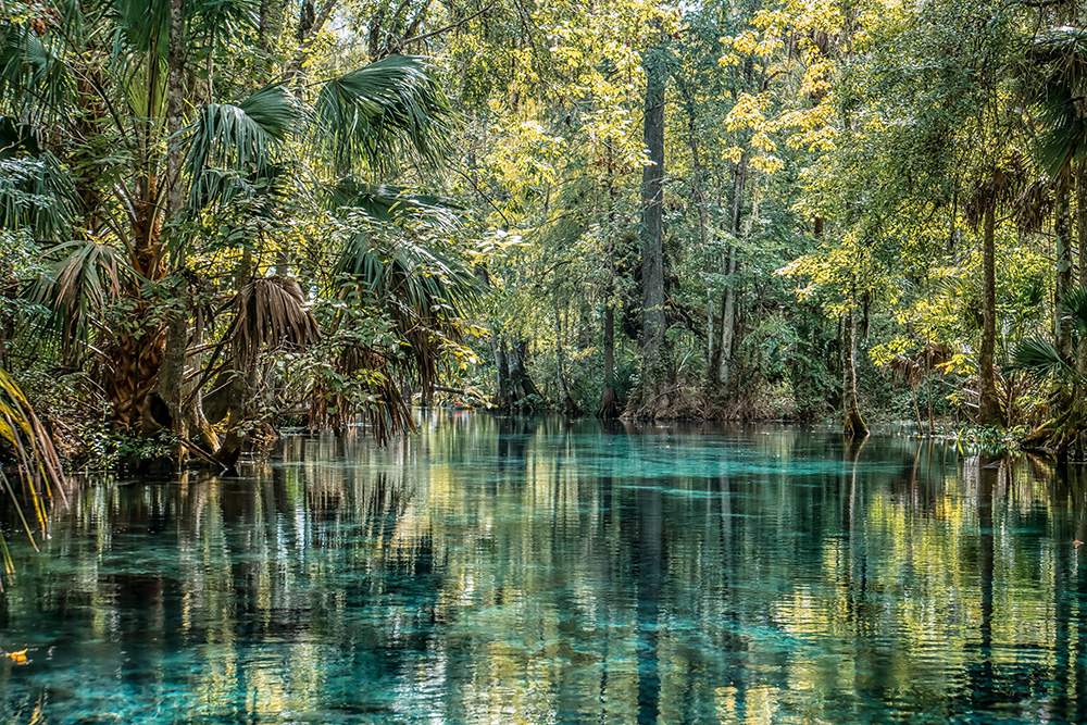 The springs in central florida